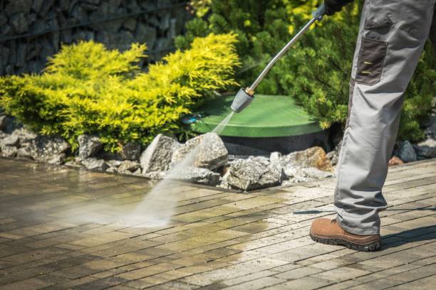 Best Driveway Pressure Washing  in Dutch Island, GA